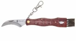 Couteau à Champignon