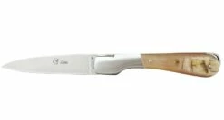 Sperone Corne De Bélier Brute