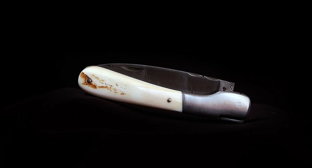 Vendetta Damas Phacochère 6 Vendetta Damas Phacochère – Image 4